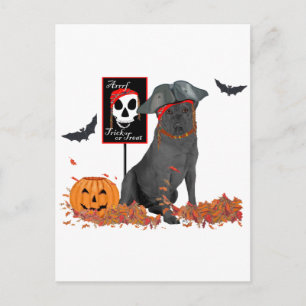 Carte Postale Labrador Retriever noir pirate