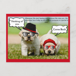 Carte Postale Labrador Retriever pense à vous pour revenir