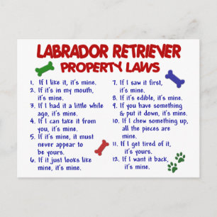 Carte Postale LABRADOR RETRIEVER, propriété Lois