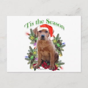Carte Postale Labrador Retriever " Tis