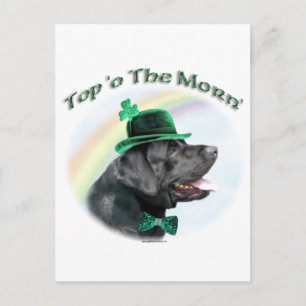 Carte Postale Labrador Retriever Top of the Morn