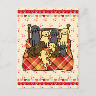 Carte Postale Labradors sur lit King Size