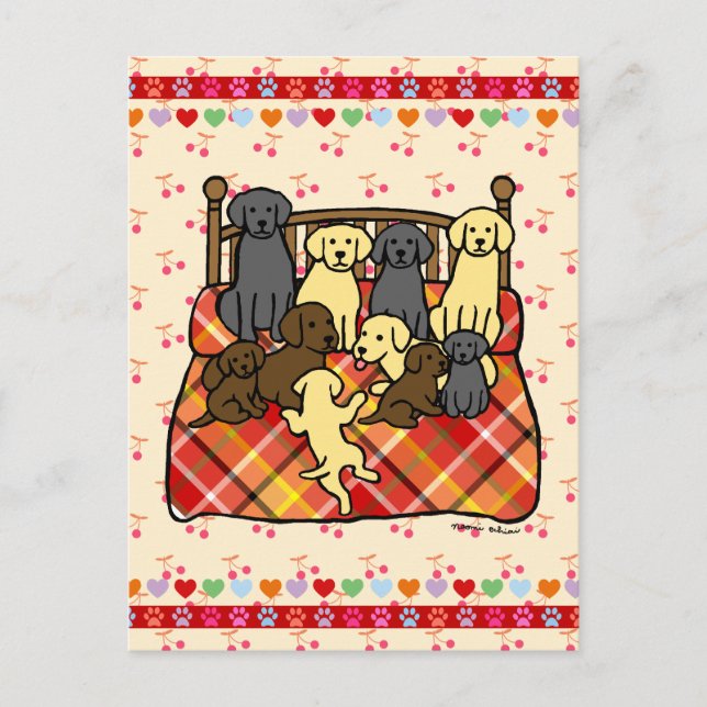 Carte Postale Labradors sur lit King Size (Devant)