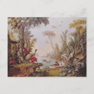 Carte Postale Lac aux oies, cigognes, perroquets et hérons