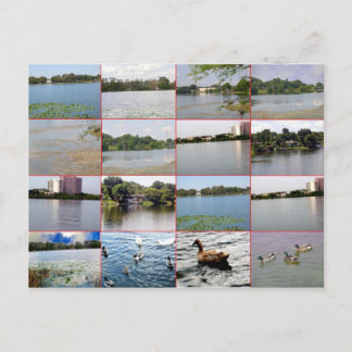 Carte postale Lac Collage
