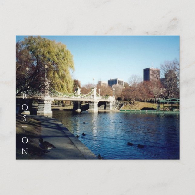 Carte Postale lac commun de boston (Devant)