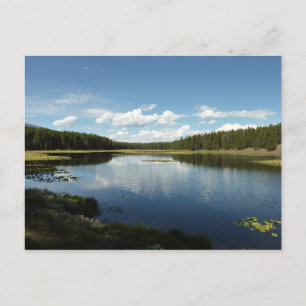 Carte Postale Lac de cygne II du Parc national de Grand Teton