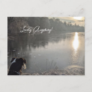 Carte Postale Lac de vache avec chien à Augsburg