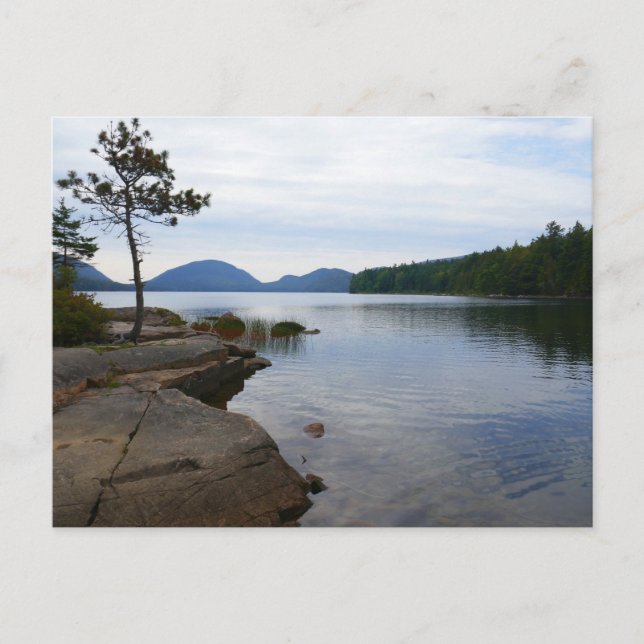 Carte Postale Lac Eagle au parc national Acadia (Devant)