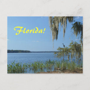 Carte Postale Lac Florida