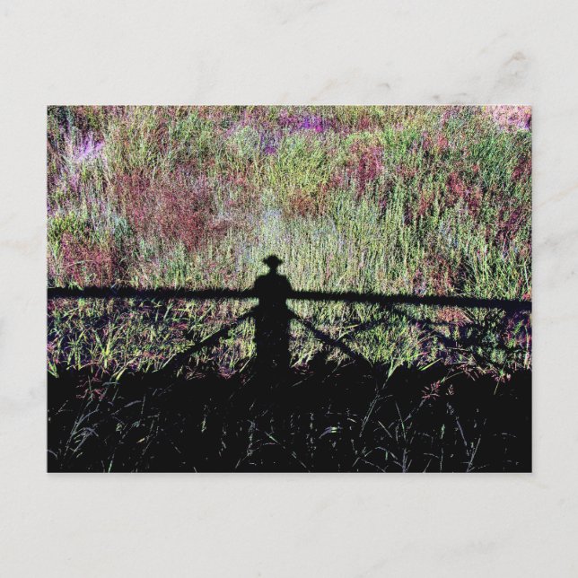 Carte Postale Lac Lubbock Landmark (Devant)