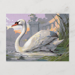 Carte Postale Lac Lugano Swan