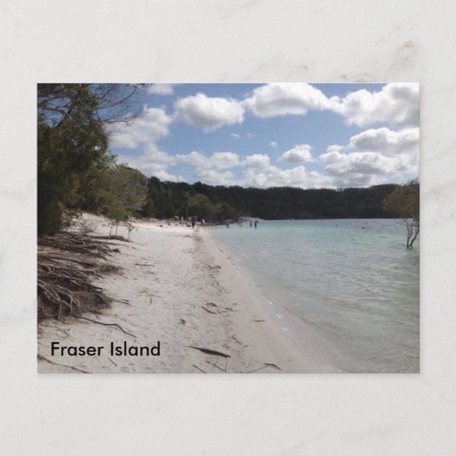 Carte Postale Lac McKenzie, île Fraser, Queensland Australie (Devant)
