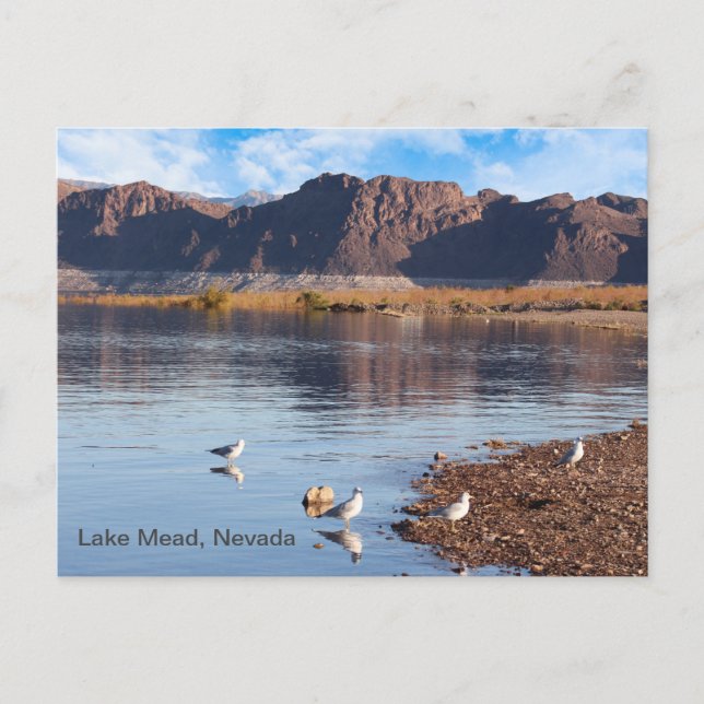 Carte Postale Lac Mead, Boulder Beach, Nevada (Devant)