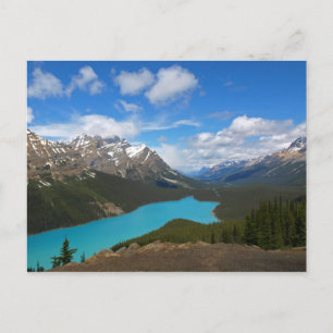 Carte Postale Lac Peyto (Carte postale)