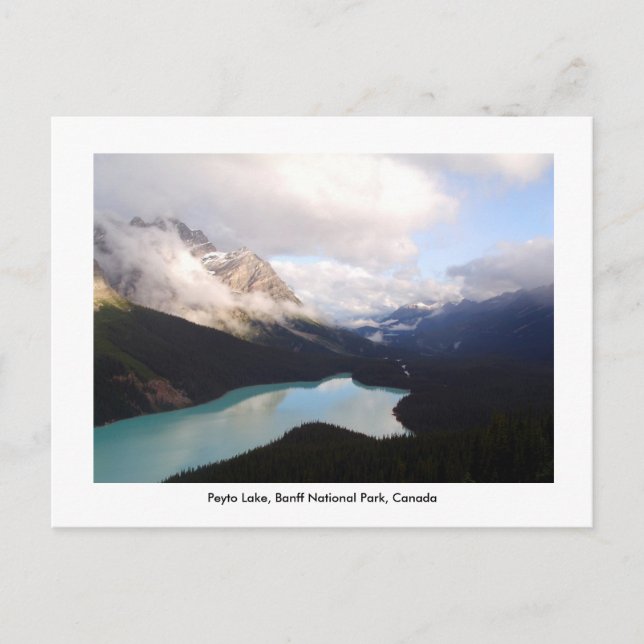 Carte Postale Lac Peyto / Parc national Banff, Canada. (Devant)