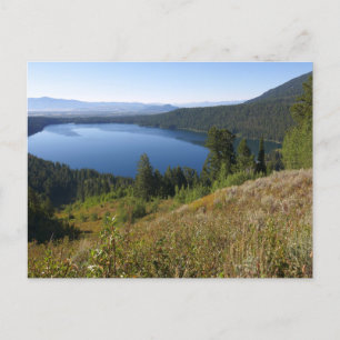 Carte Postale Lac Phelps III au Parc national de Grand Teton