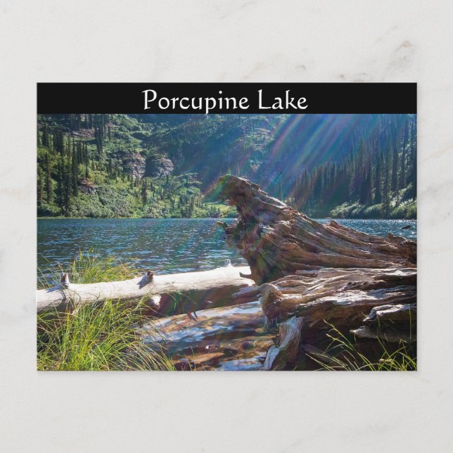 CARTE POSTALE ~ "Lac Porcupine" près de Clark Fork (Devant)