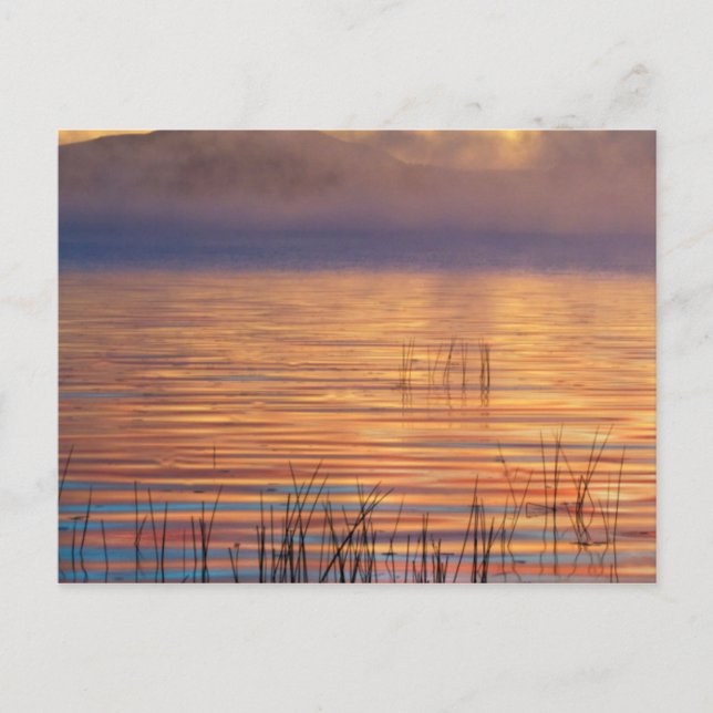 Carte Postale Lac Racquette | Adirondack Mountains, New York (Devant)