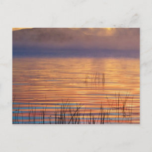 Carte Postale Lac Racquette   Adirondack Mountains, New York