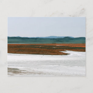 Carte Postale Lac Soda, monument national de la plaine de Carriz
