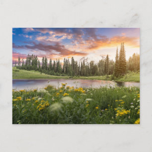 Carte Postale Lac Tipsoo de Mt.Rainier