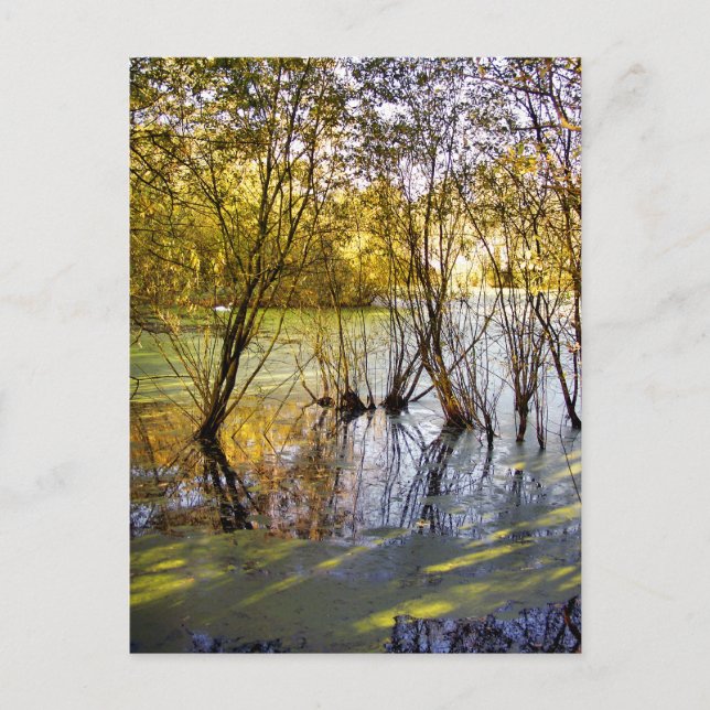 CARTE POSTALE LACS (Devant)