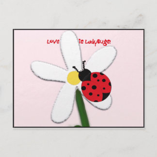 Carte Postale Lady Bug Lovin