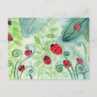 Carte Postale Ladybird
