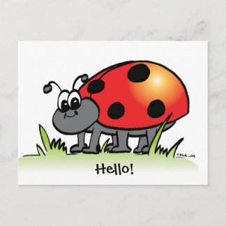 Carte postale Ladybug