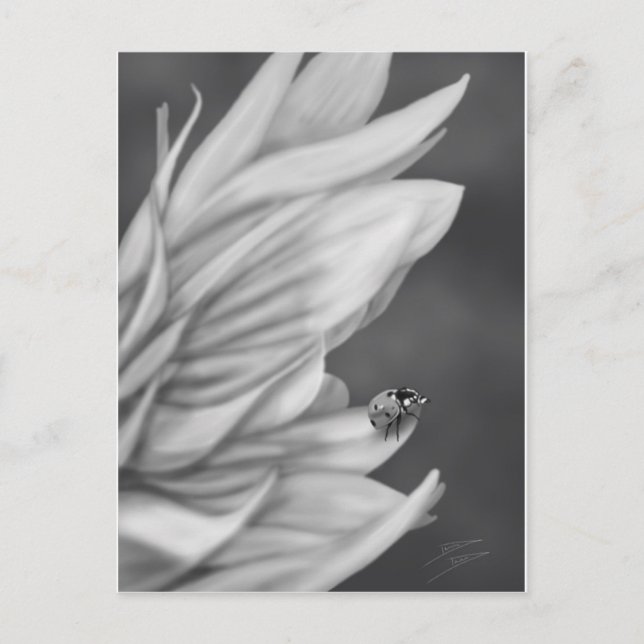 Carte Postale Ladybug (Devant)