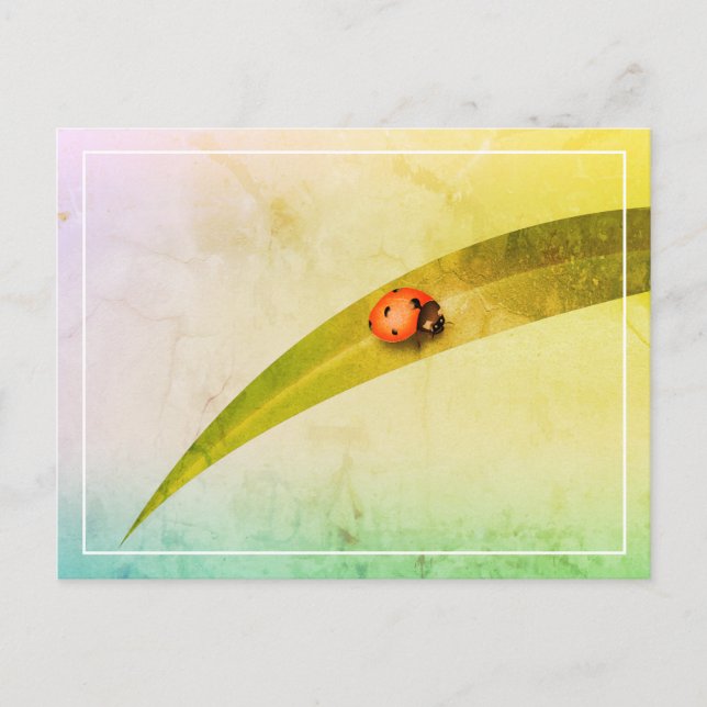 Carte Postale Ladybug Leaf (Devant)