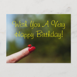 Carte Postale Ladybug sur le doigt heureux souhait d'anniversair
