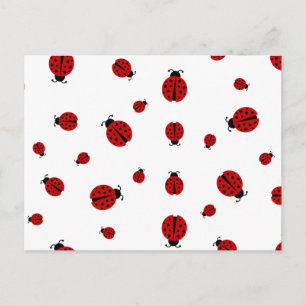 Carte Postale ladybugz.