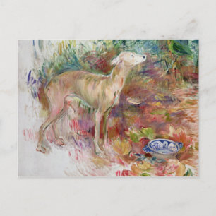 Carte Postale Laerte le Lévrier, 1894