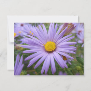Carte Postale L'affiche de New York "Magic Purple" à l'automne