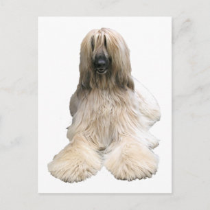 Carte Postale L'Afghanistan d'Helaine