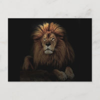 L'Afrique du Lion Fière d'Or