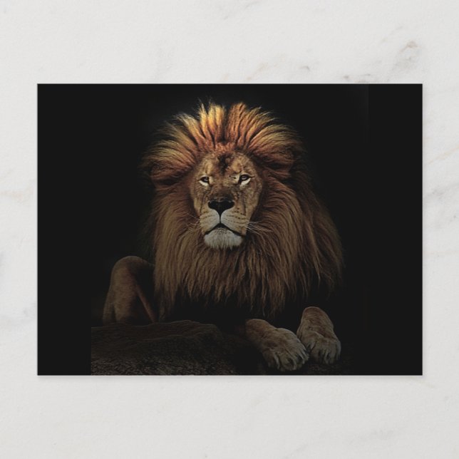 Carte Postale L'Afrique du Lion Fière d'Or (Devant)