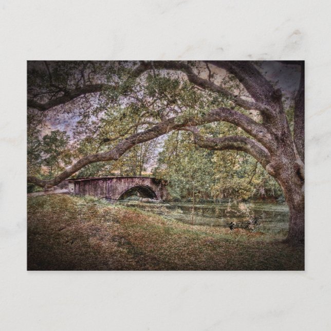 Carte Postale Lagon d'Audubon (Devant)