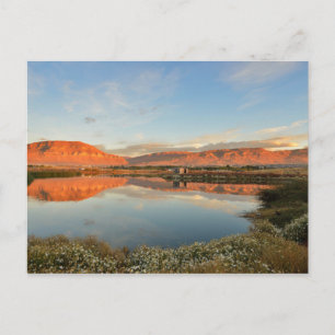 Carte Postale Laguna Nimez Sunset, El Calafate