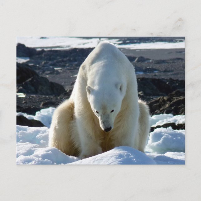 Carte Postale L'aide, mon monde fond ! (Devant)