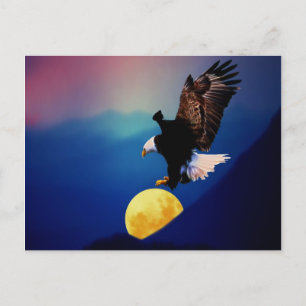 Carte Postale L'aigle des chauves-souris chasse la pleine lune