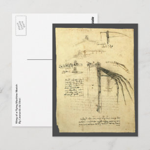 Carte Postale L'aile de Léonard de Vinci sur la machine volante 
