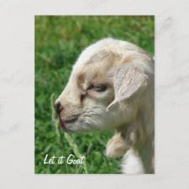 Carte Postale Laisse-le chèvre