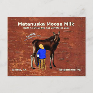 Carte Postale Lait d'orignal Matanuska