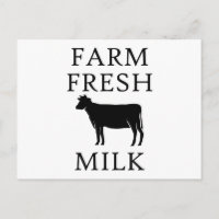 Lait frais de ferme, vache