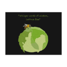 Laitue Bee