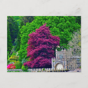Carte Postale Lake District