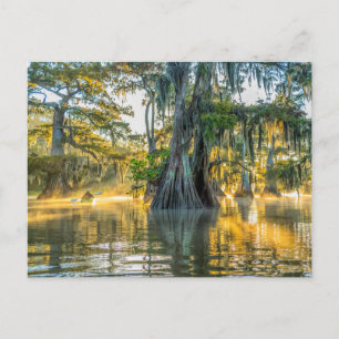 Carte Postale Lake Fausse Pointe State Park